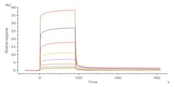 ACROBiosystems Human IL-20 R alpha Protein, His Tag (ILA-H52H3) is expressed