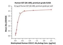 ACROBiosystems Human SCF (26-189), Tag Free (SCF-H5219) is expressed from
