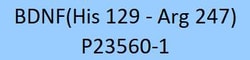 ACROBiosystems Human BDNF, Tag Free (BDF-H5219) is expressed from human