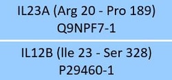 ACROBiosystems Human IL-23A&IL-12B Heterodimer Protein (ILB-H5219) is expressed