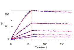 ACROBiosystems Human IL-7 RA&TSLP R Heterodimer Protein, Fc Tag&Fc Tag