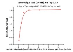 ACROBiosystems Cynomolgus DLL3 (27-488), His Tag (DL3-C52H9) is expressed