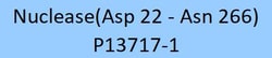 ACROBiosystems GENIUS Pro Nuclease is a tag free recombinant form of Serratia