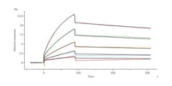 ACROBiosystems Human Angiogenin, His Tag (ANN-H5149) is expressed from