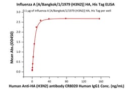 ACROBiosystems Influenza A [A/Bangkok/1/1979 (H3N2)] HA, His Tag (HA2-V52H3)