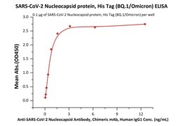 ACROBiosystems SARS-CoV-2 Nucleocapsid protein, His Tag (BQ.1/Omicron)