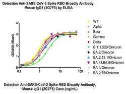 ACROBiosystems Anti-SARS-CoV-2 Spike RBD Broadly Antibody, Mouse IgG1 Mouse