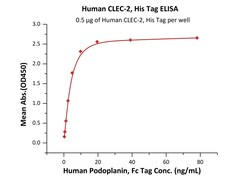 ACROBiosystems Human CLEC-2, His Tag (CL2-H5247) is expressed from human