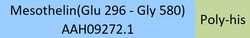 ACROBiosystems PE-Labeled Human Mesothelin (296-580), His Tag (MSN-HP2H8)