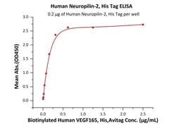 ACROBiosystems Human Neuropilin-2, His Tag (NR2-H52H3) is expressed from