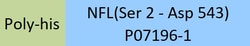 ACROBiosystems Human NFL, His Tag (NFL-H5143) is expressed from E.coli