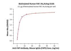 ACROBiosystems Biotinylated Mouse FAP, His,Avitag (FAP-M82Q8) is expressed