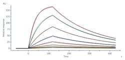 ACROBiosystems Biotinylated Human HLA-A*02:01 NY-ESO-1 (SLLMWITQC) Complex