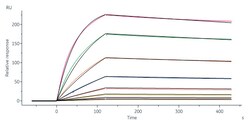 ACROBiosystems Human HLA-A*02:01 NY-ESO-1 (SLLMWITQC) Tetramer Protein