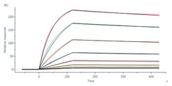 ACROBiosystems Human HLA-A*02:01 NY-ESO-1 (SLLMWITQC) Tetramer Protein