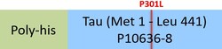 ACROBiosystems Human Tau-441 (P301L), His Tag (TAU-H5144) is expressed
