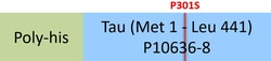 ACROBiosystems Human Tau-441 (P301S), His Tag (TAU-H5145) is expressed