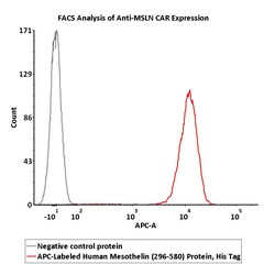 ACROBiosystems APC-Labeled Human Mesothelin (296-580), His Tag (MSN-HA2H7)