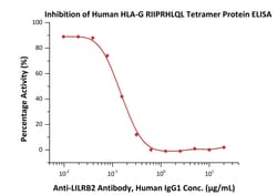 ACROBiosystems Human HLA-G RIIPRHLQL Tetramer Protein (HLG-H52E9) is expressed