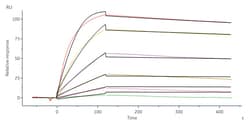 ACROBiosystems Monoclonal Anti-TNF-alpha antibody, Mouse IgG1 (16H5) is