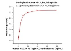 ACROBiosystems Biotinylated Human MICA, His,Avitag (MIA-H82E6) is expressed
