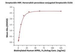 ACROBiosystems Streptavidin is expressed from E.coli cells and conjugated