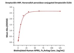 ACROBiosystems Streptavidin is expressed from E.coli cells and conjugated