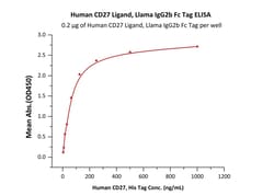 ACROBiosystems Human CD27 Ligand, Llama IgG2b Fc Tag (CDL-H5255) is expressed