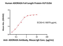 ACROBiosystems Human ADORA2A Full Length Protein-VLP (ADA-H52P4) is expressed