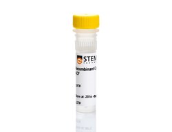 STEMCELL Technologies&nbsp;Human Recombinant M-CSF, ACF, Size: 1000 µg