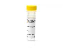 STEMCELL Technologies&nbsp;Human Recombinant IL-7, ACF, Size: 1000 µg