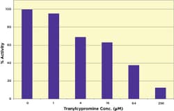 Arbor Assays HDM Fluorescent Kit (2 Plate)