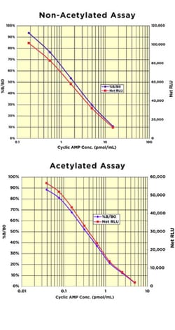 Arbor Assays Cyclic AMP Direct Chemiluminescent ELISA Kit (5 Plate), Quantity: