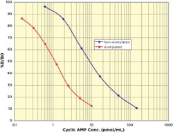 Arbor Assays Cyclic AMP Direct ELISA Kit (5 Plate), Quantity: Each of 1