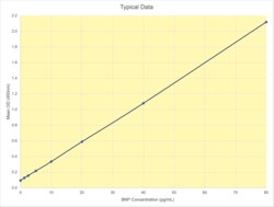 Arbor Assays Human B-Type Natriuretic Peptide (BNP) ELISA Kit (1 Plate),