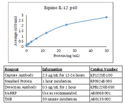 Kingfisher Biotech Inc Equine IL-12 p40 ELISA - Less than or equal to 20