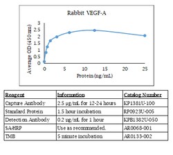 Kingfisher Biotech Inc Rabbit VEGF-A 165 ELISA - Less than or equal to