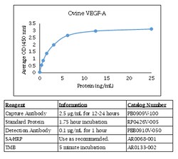 Kingfisher Biotech Inc Ovine VEGF-A ELISA - Less than or equal to 10 plates