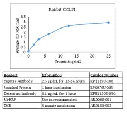 Kingfisher Biotech Inc Rabbit CCL21 ELISA - Less than or equal to 20 plates