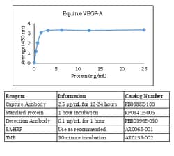 Kingfisher Biotech Inc Equine VEGF-A ELISA - Less than or equal to 10 plates