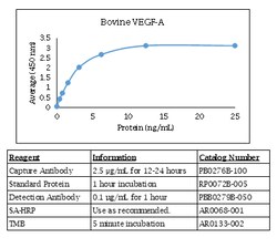Kingfisher Biotech Inc Bovine VEGF-A ELISA - Less than or equal to 10 plates
