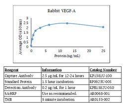 Kingfisher Biotech Inc Rabbit VEGF-A 121 ELISA - Less than or equal to