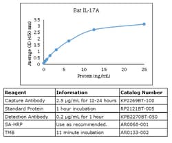 Kingfisher Biotech Inc Egyptian Rousette Bat IL-17A ELISA - Less than or