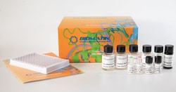Biomatik Corporation Human Mucin-5Ac (Muc5Ac) Elisa Kit, Quantity: Each
