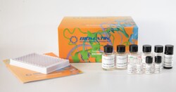 Biomatik Corporation Phospho-C-RAF (Ser43) Colorimetric Cell-Based ELISA Kit