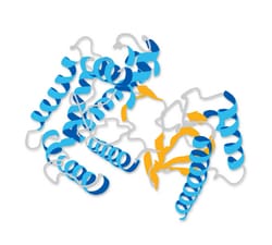 MilliporeSigma Cholera Toxin, Vibrio cholerae, Type Inaba 569B, Azide Free
