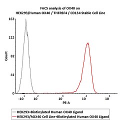 ACROBiosystems&nbsp;HEK293/Human OX40 / TNFRSF4 / CD134 Stable Cell Line