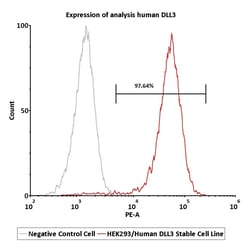 ACROBiosystems HEK293/Human DLL3 Stable Cell Line, Quantity: Each of 1