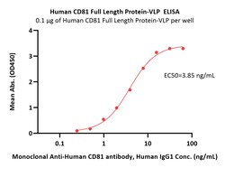 ACROBiosystems Human CD81 Full Length Protein (VLP), Quantity: Each of