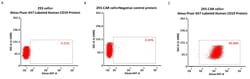 ACROBiosystems Alexa Fluor 647-Labeled Human CD19 (20-291) Protein, His